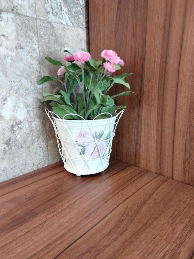 Apartament De Lux Cu Terasa Timisoara Exterior photo